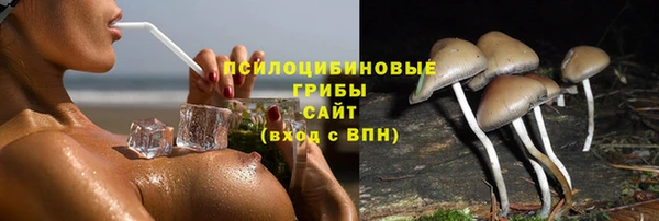 первитин Алексеевка