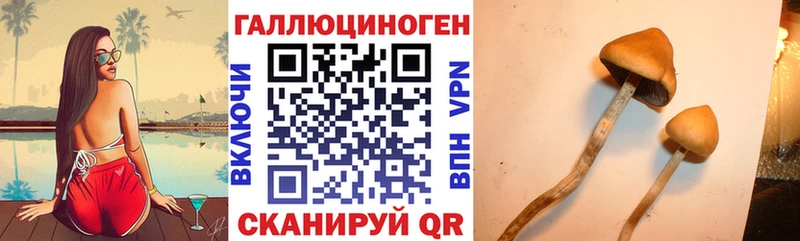 Псилоцибиновые грибы Magic Shrooms  Удачный 